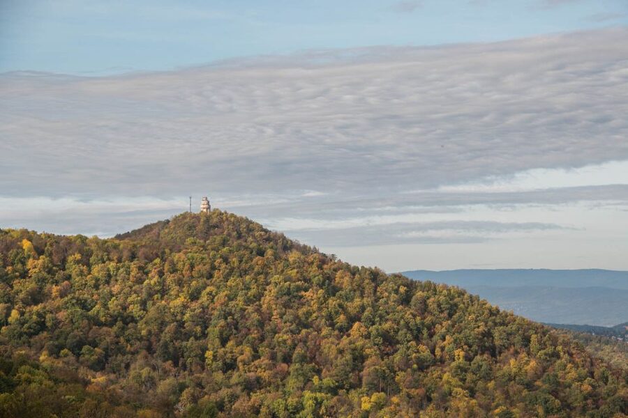 3Hour Outdoor Budapest Normafa Hike&History With a Historian - Key Highlights You’ll Actually Use