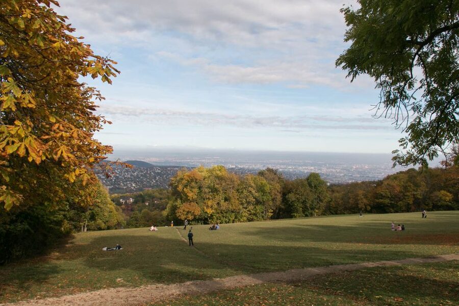 3Hour Outdoor Budapest Normafa Hike&History With a Historian - Normafa History Meets Practical City Convenience