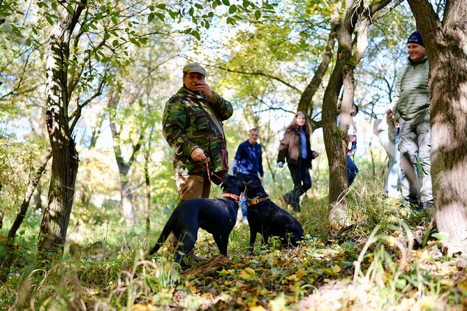 Black Truffle Hunt, Foie Gras & Wines with Budapest Pickup - Key highlights at a glance