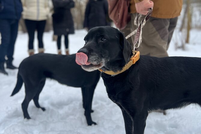 Black Truffle Hunt, Foie Gras & Wines with Budapest Pickup - Stop 5: A winemaker-led presshouse tasting (cellar time included)