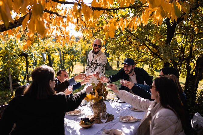 Black Truffle Hunt, Foie Gras & Wines with Budapest Pickup - Stop 6: The older winery stop and traditional Hungarian lunch