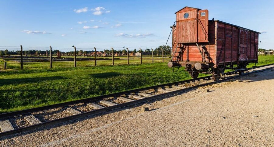 Budapest: Auschwitz Birkenau Private Day Tour - Auschwitz I: why the first camp section hits harder