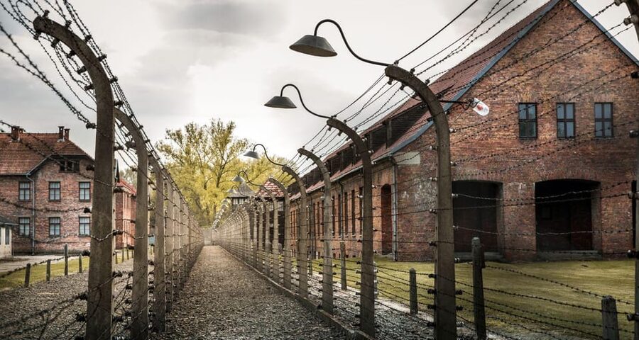 Budapest: Auschwitz Birkenau Private Day Tour - What “private group” feels like on a day like this
