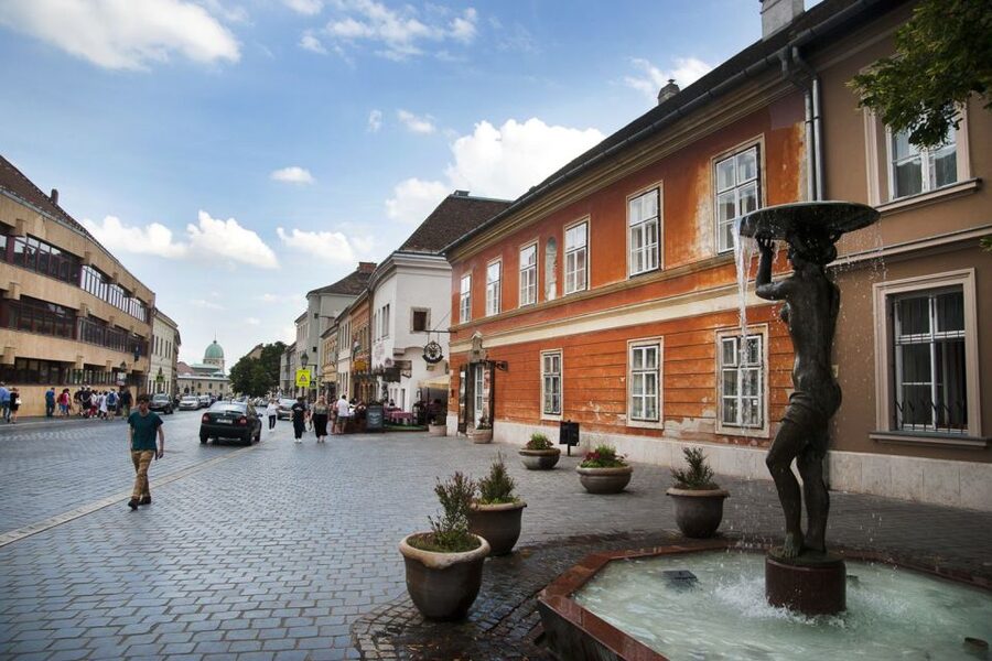 Budapest: Buda Castle District Walking Tour - Tickets and Inside Visits: Plan Them Without Losing the Flow
