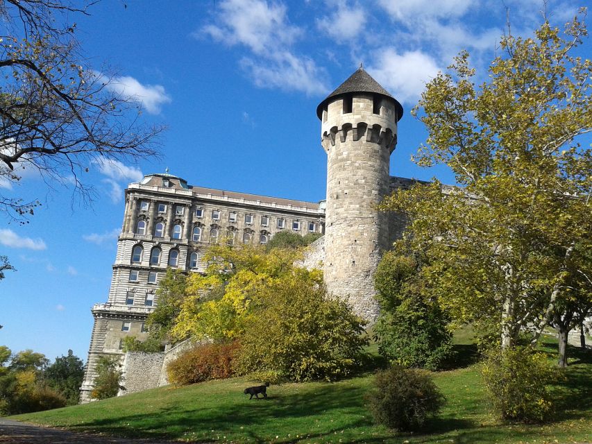 Budapest: Buda Castle Private Walking Tour - Fisherman’s Bastion panoramas: where the city looks postcard-simple