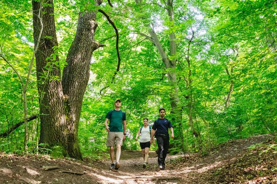 Budapest: Buda Hills Guided Hiking Tour with Optional Lunch - Key highlights worth showing up for