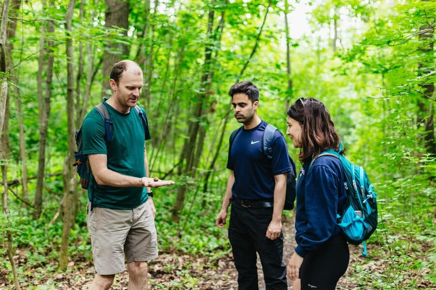 Budapest: Buda Hills Guided Hiking Tour with Optional Lunch - The small cave stop and wartime traces in the woods