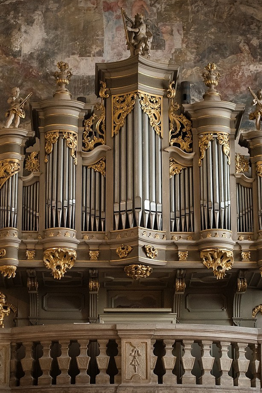 Budapest: Concert on the Oldest Working Organ in the City - Meet the Organist: Miklós Teleki and the Dates That Change It Up