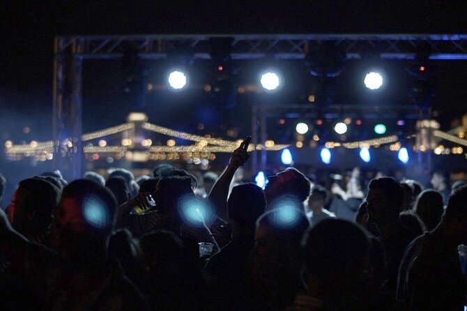 Budapest Danube Cruise with DJ, Drinks and After Party - Who Should Book This Budapest DJ Cruise (and Who Should Skip It)