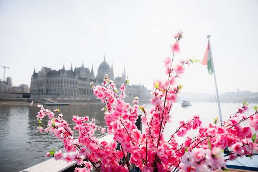 Budapest: Daytime Hop-on Hop-off Cruise with Welcome Drink - Margaret Island Stop: Japanese Garden, Monastery Ruins, and the Music Fountain