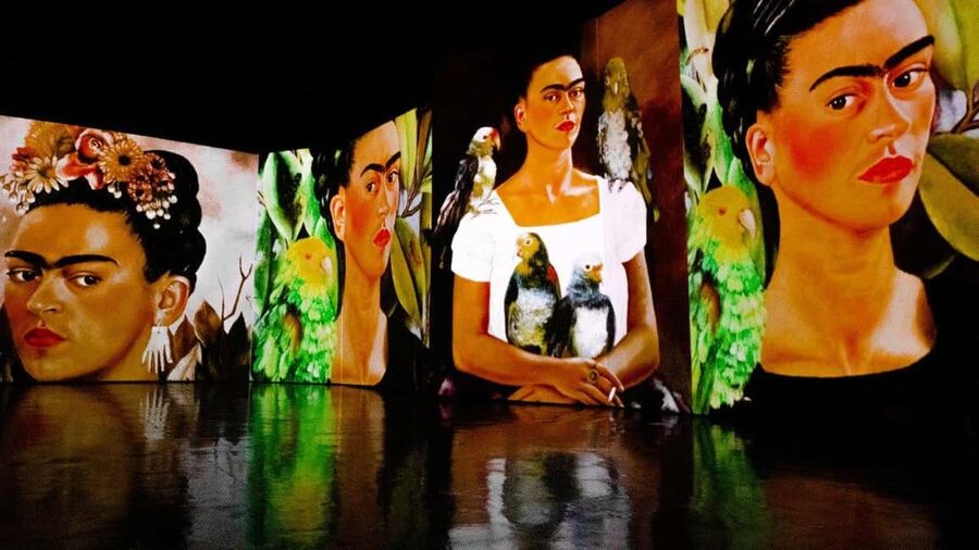 Budapest: Frida Kahlo Immersive Exhibition Ticket - Key highlights you will notice right away