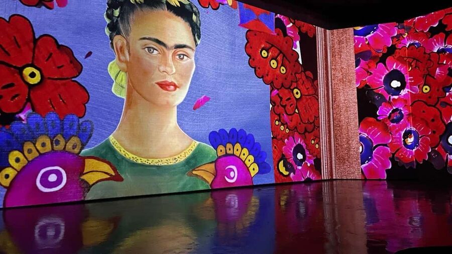 Budapest: Frida Kahlo Immersive Exhibition Ticket - Time slots in English and Magyar, and how to plan