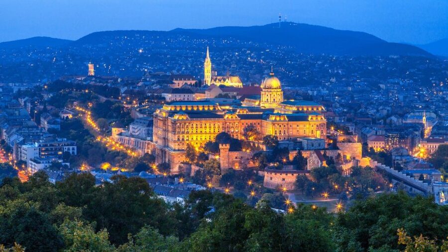 Budapest Full-Day Private Guide Services - Castle District or Great Market Hall: Pick One Area and Go Deeper