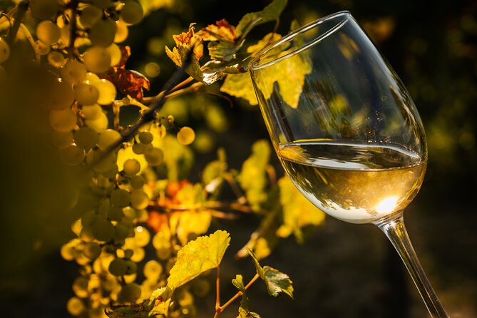 Budapest Half-Day Wine Tour: 3 Family Wineries, Meal & Pálinka - Snacking, Lunch, and the Hungarian Meal Made by Locals