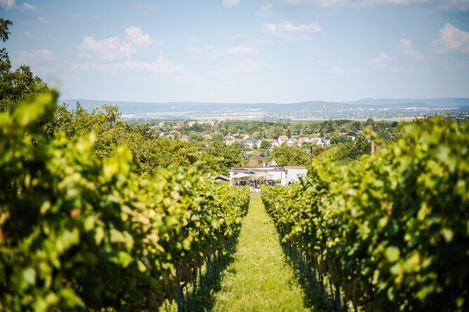 Budapest Half-Day Wine Tour: 3 Family Wineries, Meal & Pálinka - Comfort on the Road: Timing, Vehicle, and Staying Enjoyable