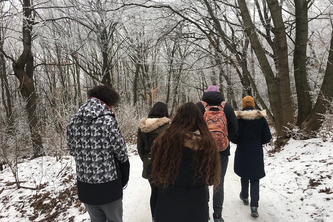 Budapest Hike - What happens at the start: your guide sets the tone
