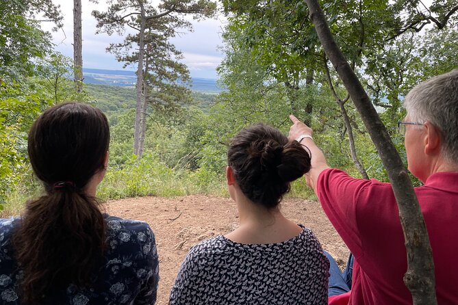 Budapest Hike - The hike itself: quiet forest time plus guided storytelling