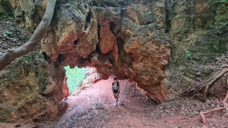 Budapest: Hiking Tour in the Buda Hills, Hármashatár Hill - Kecske Hill Stone Pit and the Bird-Watching Shelter: Nature Stops With Character
