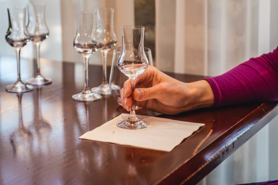 Budapest: Hungarian Whisky, Gin, and Pálinka Tasting - The lineup: tasting 6 pálinkas, plus gin and whisky