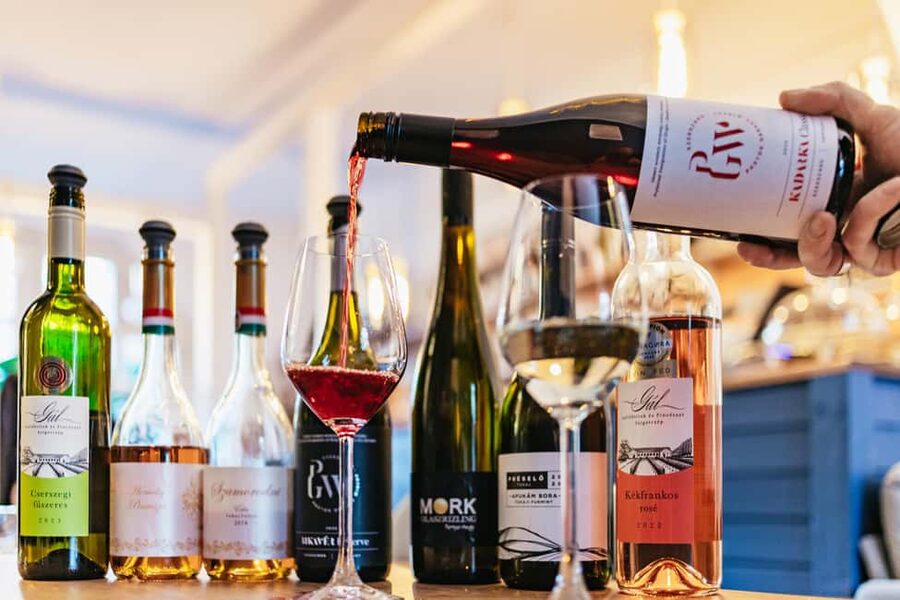 Budapest: Hungarian Wine Tasting with 8 Wines and Tapas - Should you book this Budapest wine tasting?