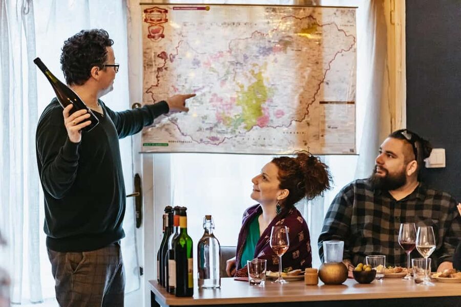Budapest: Hungarian Wine Tasting with 8 Wines and Tapas - Tapas with Hungarian farm products: what pairs and why