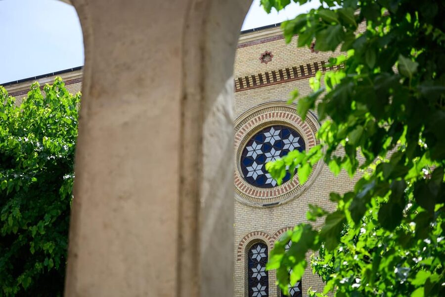 Budapest: Jewish History with Local Guide & Synagogue Ticket - Key highlights you’ll actually care about
