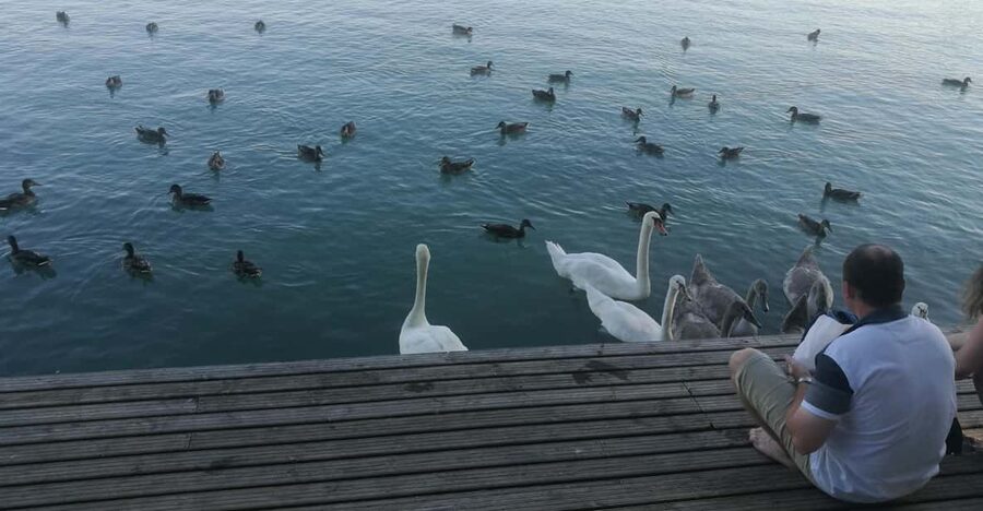 Budapest: Lake Balaton & Herend Porcelain Private Day Tour - Key Highlights at a Glance