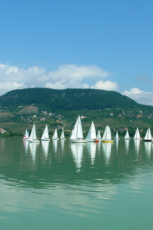 Budapest: Lake Balaton & Herend Porcelain Private Day Tour - Lunch Under the Grapevines and Folk Art Stops