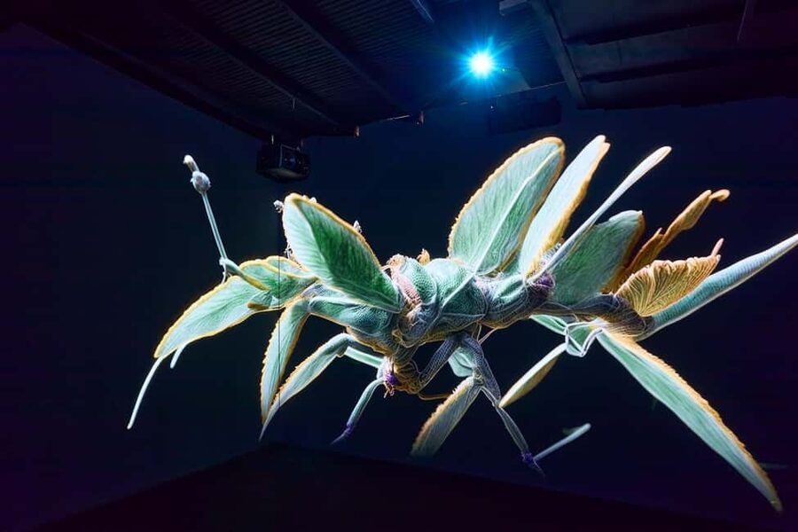 Budapest: Light Art Museum Skip-the-Line Entry Ticket - Price and value: is $21 worth it?
