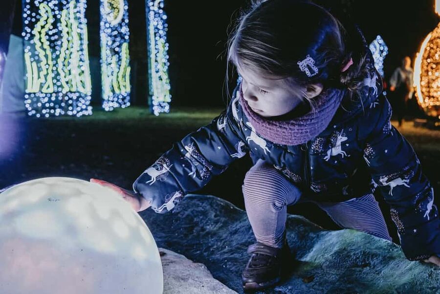 Budapest: Lumina Light Park Wonderworld Entry Ticket - Price and value: is $21 worth it?