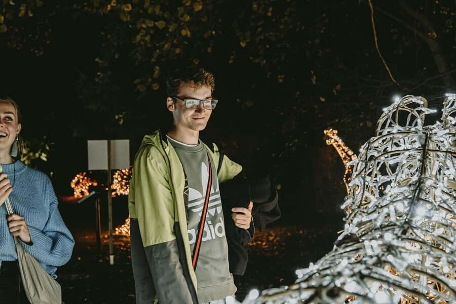 Budapest: Lumina Light Park Wonderworld Entry Ticket - Who Lumina Light Park fits best