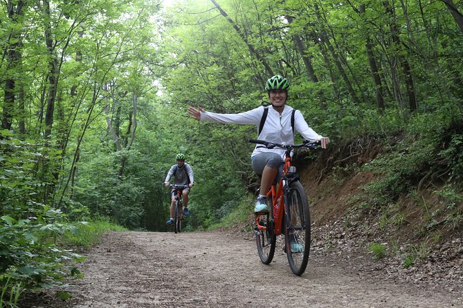 Budapest: Private Adventure Sightseeing Bicycle Tour - The bikes, the safety basics, and what they mean for you
