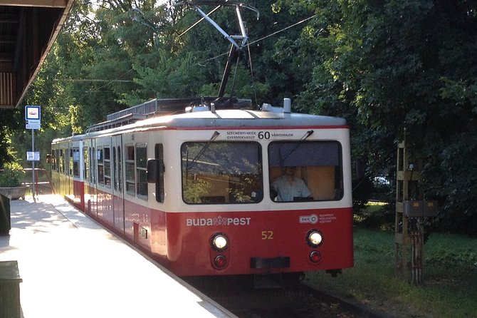 Budapest: Private Adventure Sightseeing Bicycle Tour - Danube River views and Margaret Bridge: the city in two moods