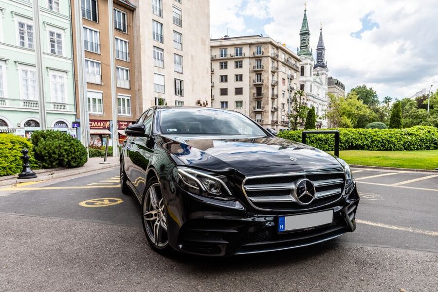 Budapest: Private Luxury Sightseeing Tour - City Park, Széchenyi Bath, and how to choose where to spend your energy
