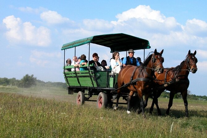 Budapest Puszta Day Trip to Kecskemet with Horse Show & Lunch - Guides and group flow: why the experience can swing