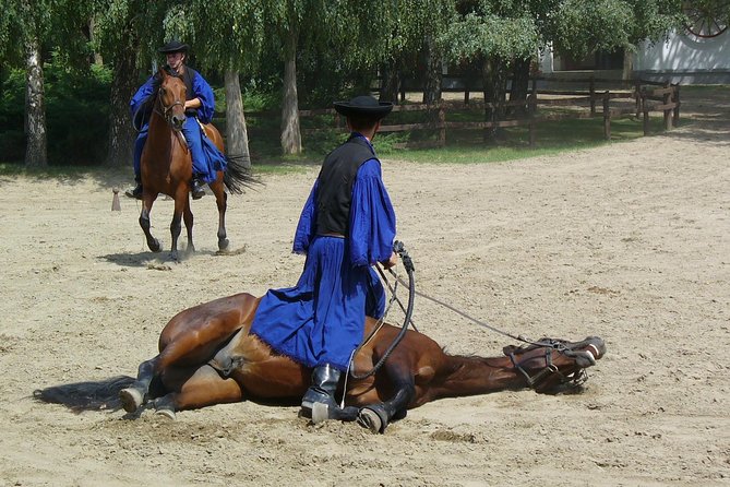 Budapest Puszta Day Trip to Kecskemet with Horse Show & Lunch - The ranch experience at Csárda: pálinka welcome and carriage ride