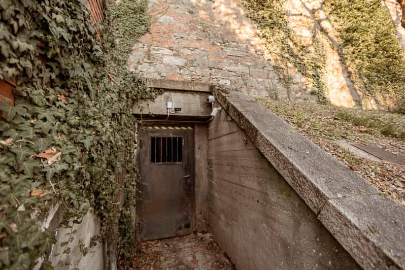 Budapest: The WWII Siege of Buda Castle & Bomb Shelter Tour - Emotional reality check: who this tour suits best