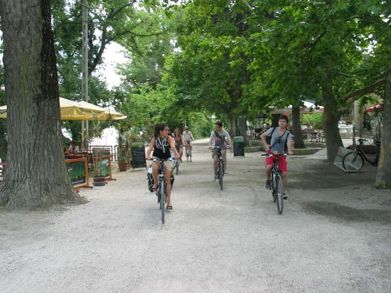 Budapest to Szentendre e-Bike Tour with a local guide - Optional Danube swim: plan for it, but don’t force it