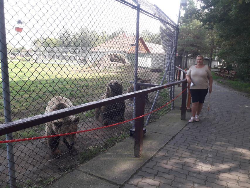 Budapest: Transport & Guided Tour of Bear and Wolf Sanctuary - The timing works: 4 hours total, with enough buffer to feel un-rushed