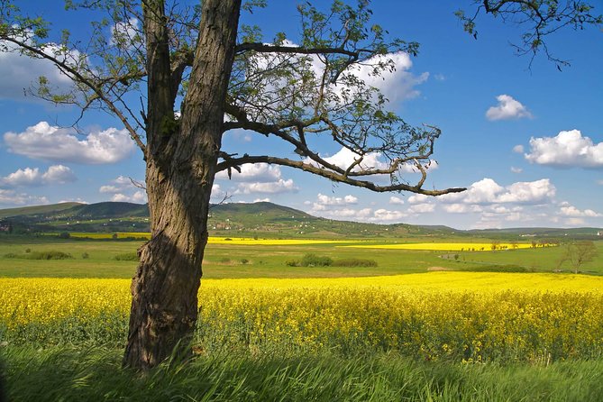 Budapest-Vienna One-Way Sightseeing Transfer - Why a 15-Person Group Makes the Difference