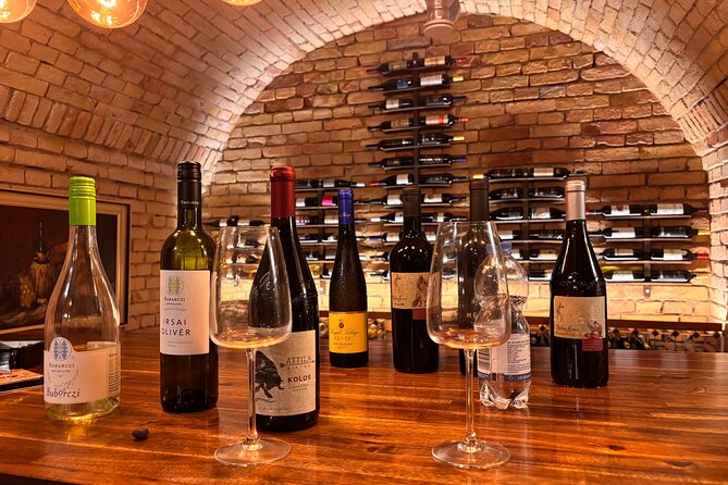 Budapest Wine Tasting and Heritage Experience at Goldcentral - Key Points You’ll Actually Care About
