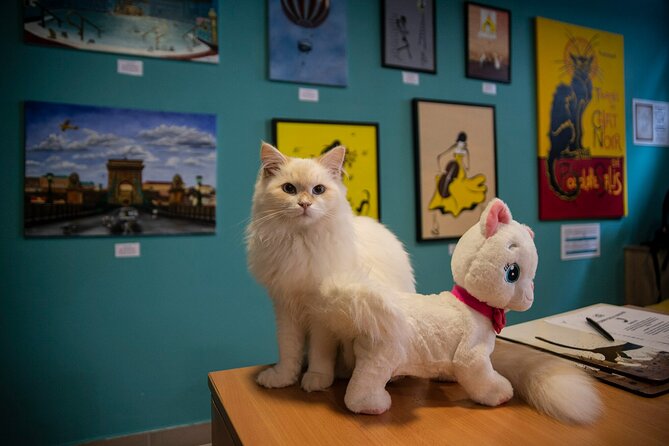 Cat Museum Budapest Entry Ticket - Your visit flow: what 1 hour 30 minutes actually feels like