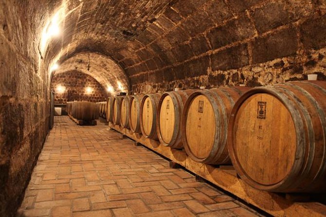 Countryside Half-day Gastro-Wine Tour from Budapest Meal & pickup - Quick hits you’ll care about