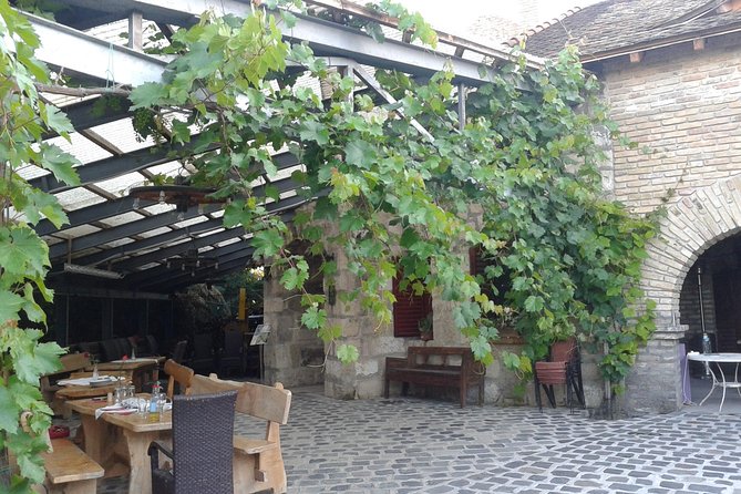 Countryside Half-day Gastro-Wine Tour from Budapest Meal & pickup - Winery visits in the real places the wine comes from