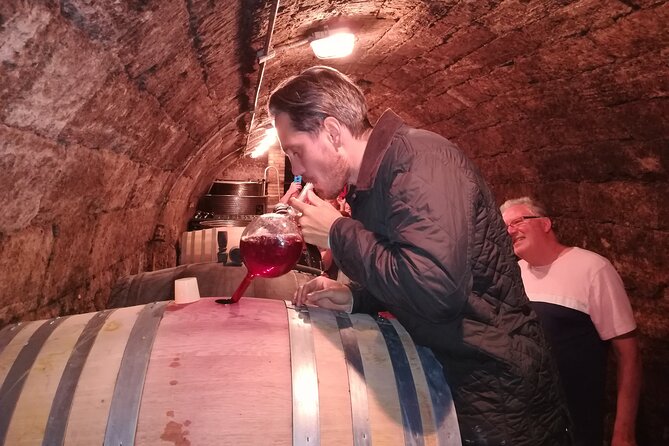 Countryside Half-day Gastro-Wine Tour from Budapest Meal & pickup - The morning program: two wineries and lunch that actually lands