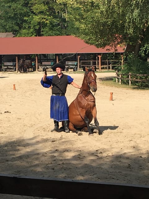 Countryside ranch, horse show & lunch - Should you book the Countryside Ranch, Horse Show & Lunch?
