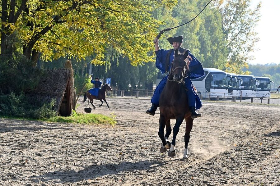 Countryside ranch, horse show & lunch - The 15-minute carriage ride and wildlife viewing