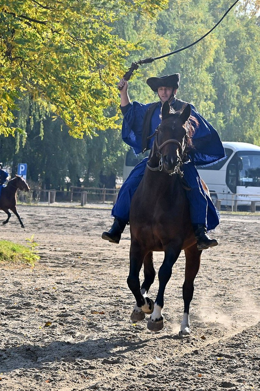 Countryside ranch, horse show & lunch - How the timing works in 5 hours (and why it feels manageable)