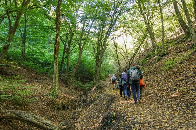 Danube Bend Hiking and Kayaking - Guides, Conversation, and What You Learn Along the Way