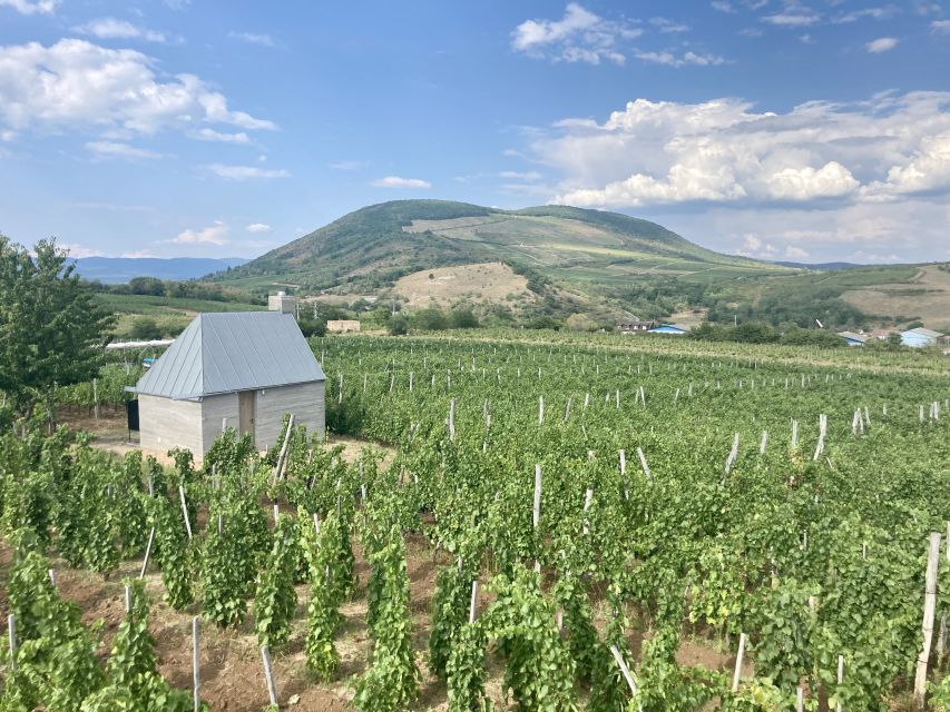 Eger: Countryside, Culture, and Wine Private Tour - The Ottoman layer: Turkish minaret and the Turkish Bath area